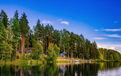 5 Ways to a Healthy Shoreline