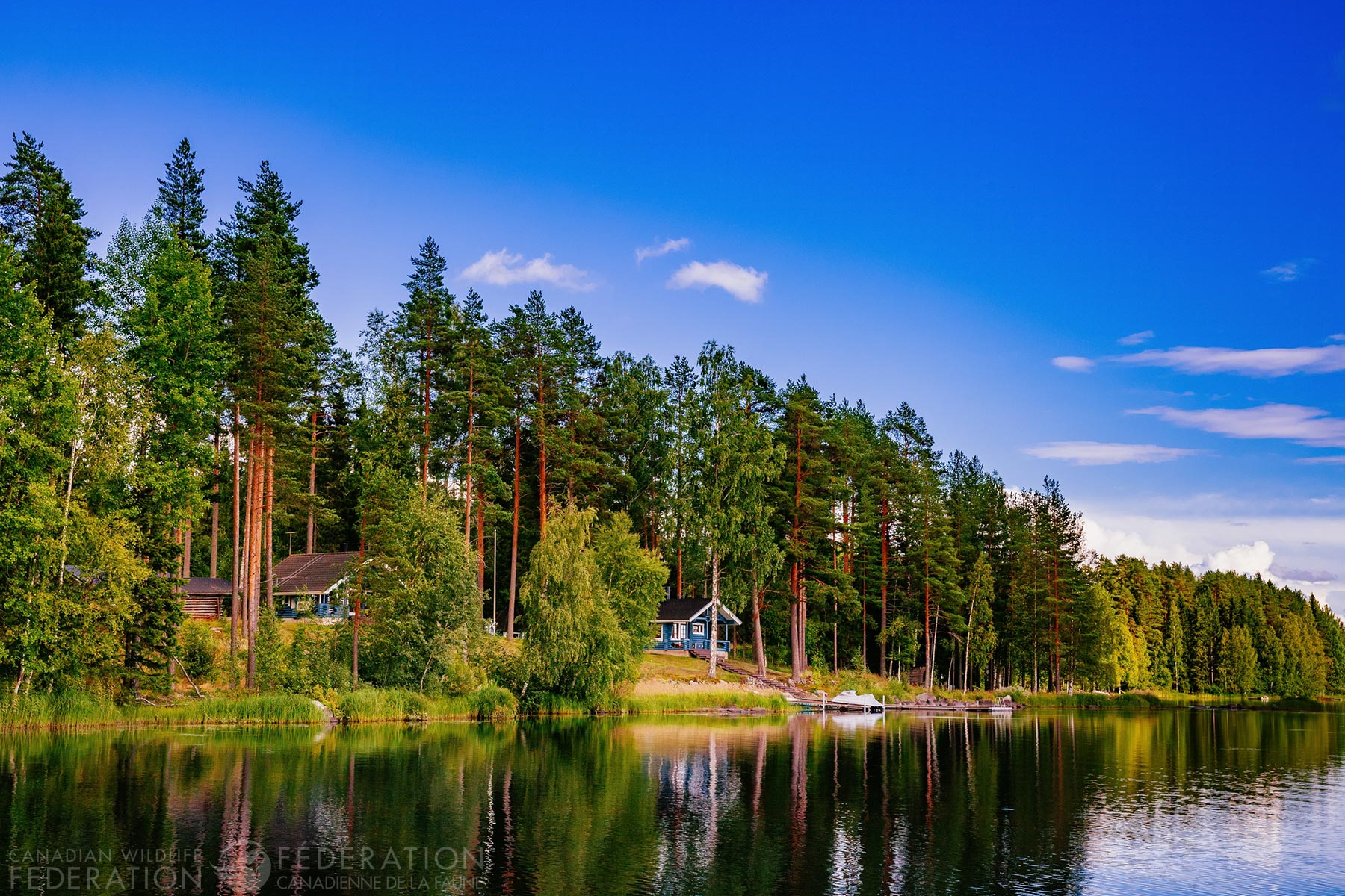 5-ways-to-a-healthy-shoreline-love-your-lake