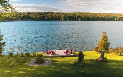 11 Activities Lake Groups and Their Members Can Participate in for a Healthy Lake