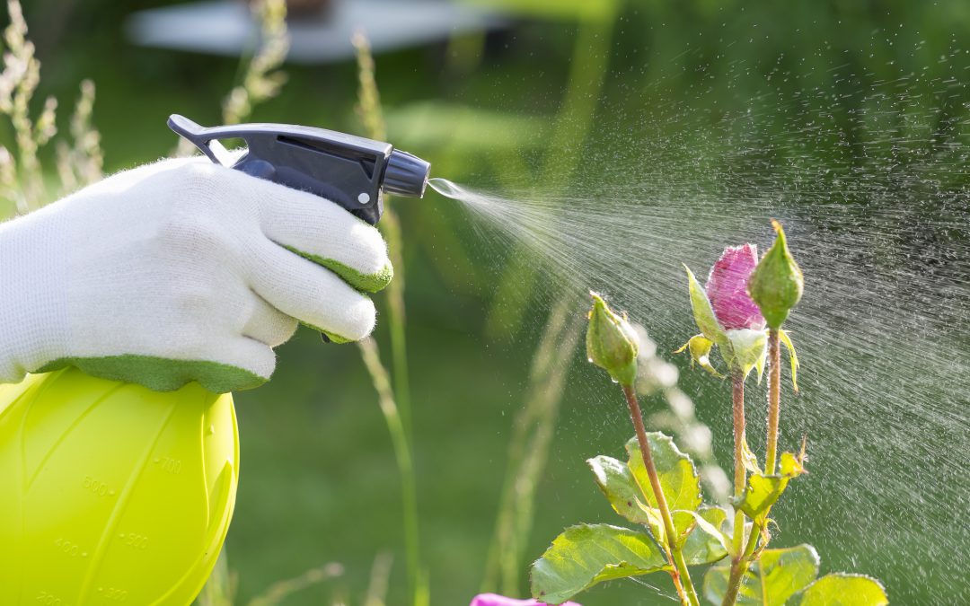 Protecting Your Gardens, Lawn…and Your Lake