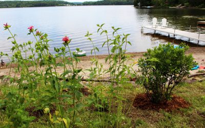 Apply for the 2025 Love Your Lake Microgrants!