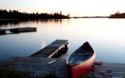 3 Easy Things to Do For Your Shoreline Property in 3 Years