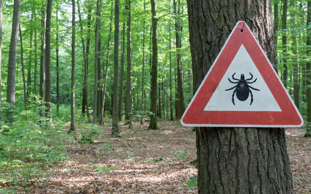 Protecting Your Shoreline Property from Ticks
