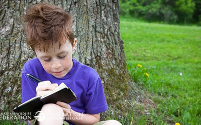 10 Ways to Have Fun with Nature at the Cottage