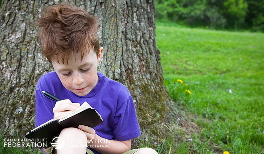 10 Ways to Have Fun with Nature at the Cottage