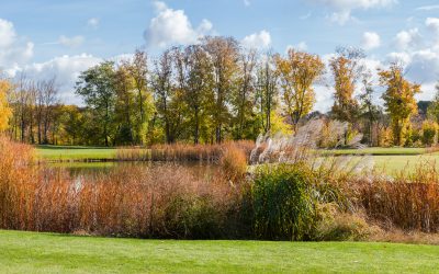 Restoring balance; one natural shoreline at a time