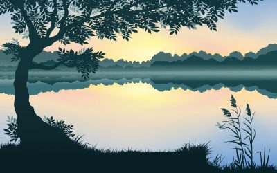 We all love our lakes!