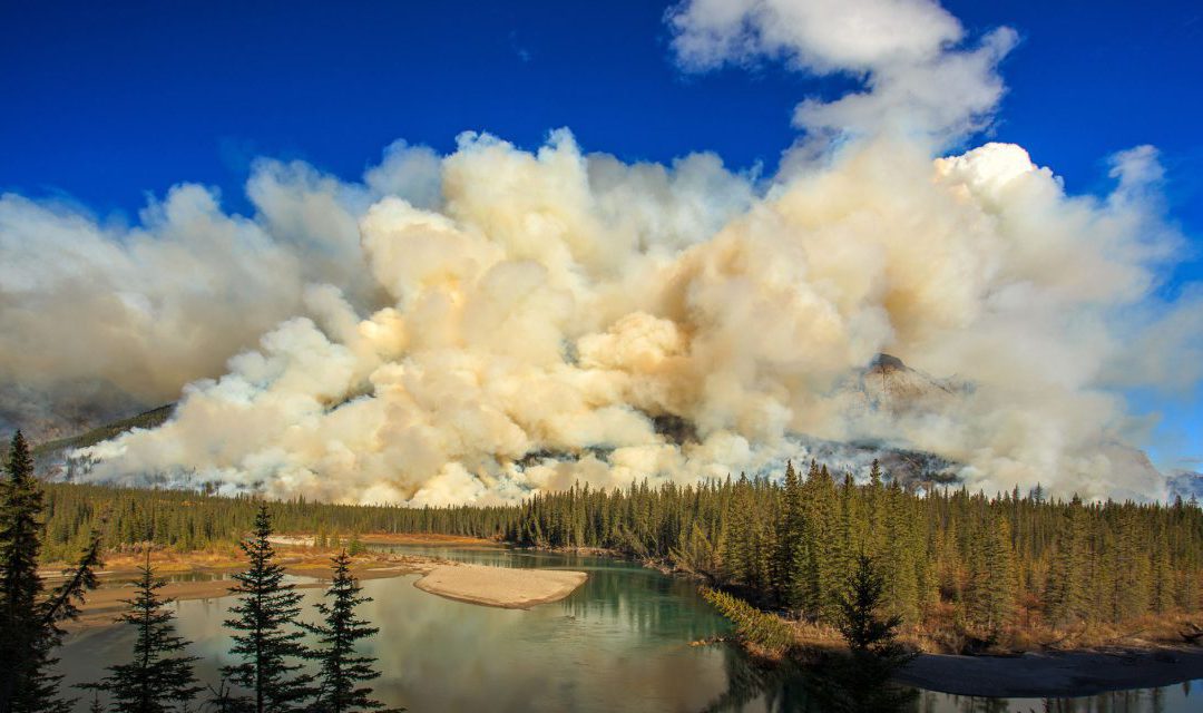 Caring for Your Shoreline Property with Fire Safety in Mind