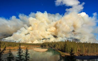 Caring for Your Shoreline Property with Fire Safety in Mind